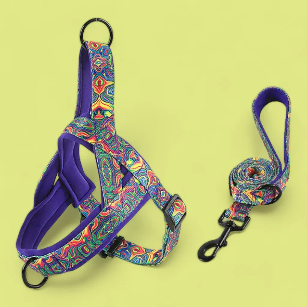 No Pull Padded Doggo Harness Set