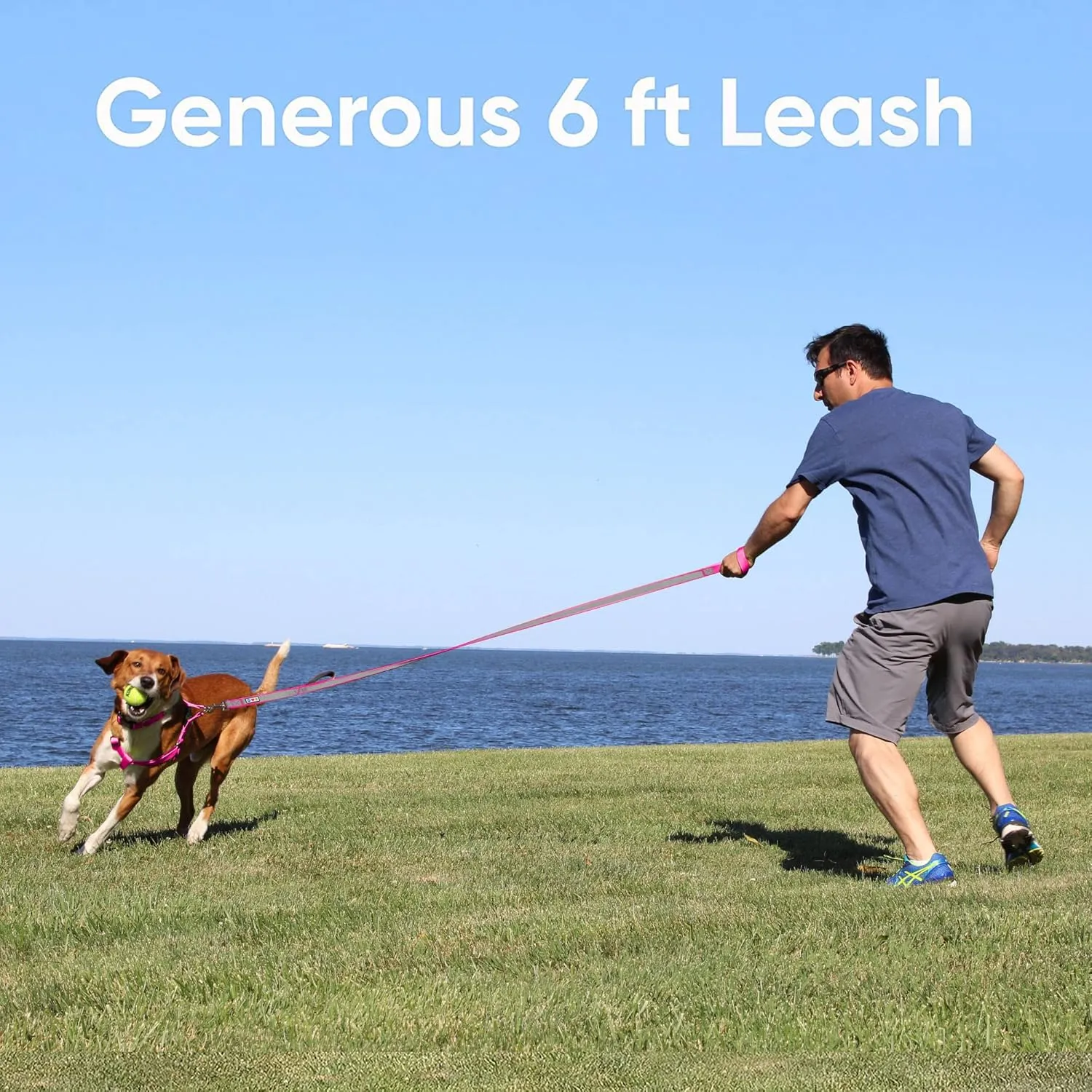 Pawtitas Double Handle Dog Leash Heavy Duty for Training No Pull Leashes Ideal for Medium and Large Dogs | Great for Walking, Running & Training Dog Leash - Medium/Large - Black