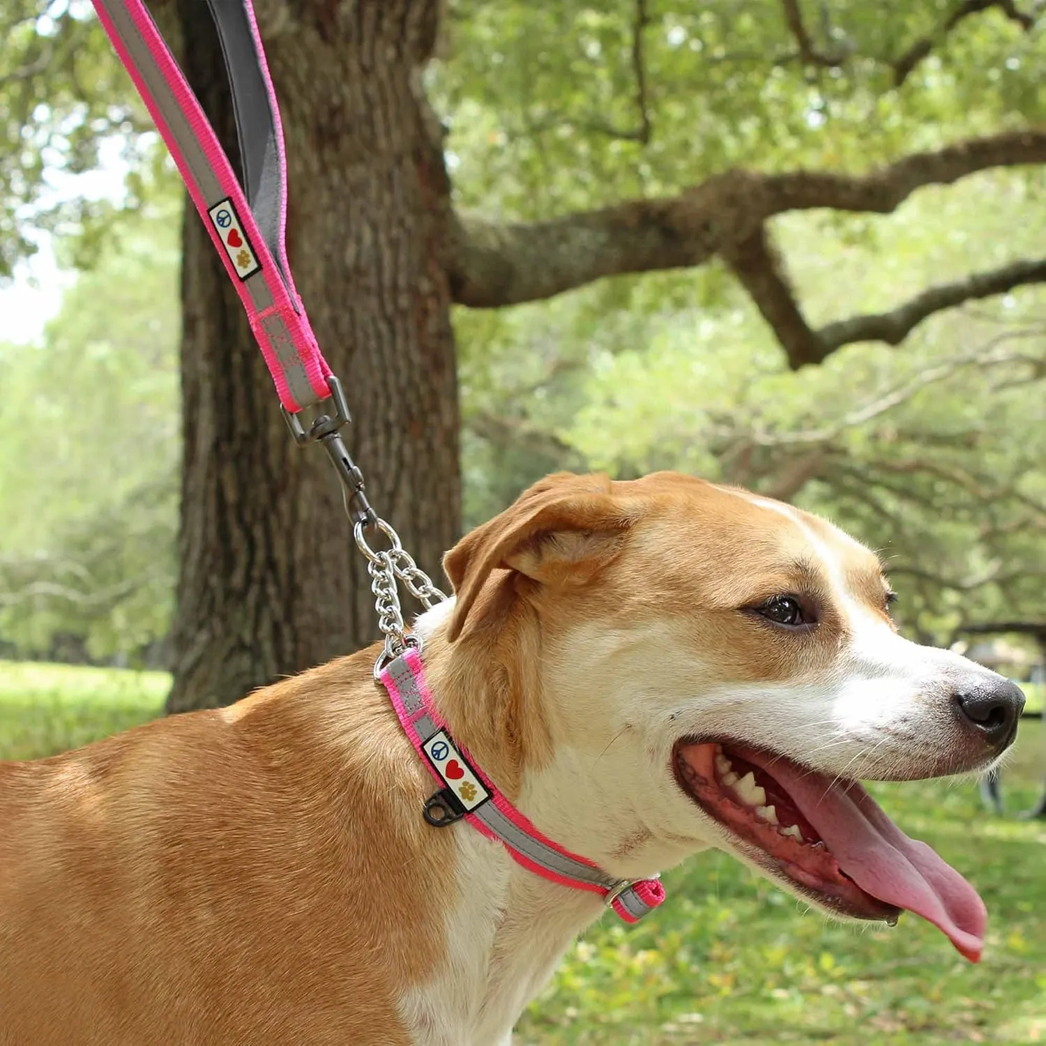 Pawtitas Double Handle Dog Leash Heavy Duty for Training No Pull Leashes Ideal for Medium and Large Dogs | Great for Walking, Running & Training Dog Leash - Medium/Large - Black