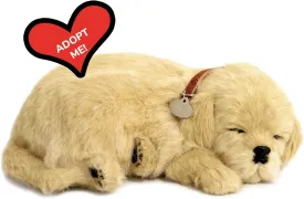 Perfect Petzzz - Original Petzzz Golden Retriever, Realistic, Lifelike Stuffed Interactive Pet Toy, Companion Pet with 100% Handcrafted Synthetic Fur