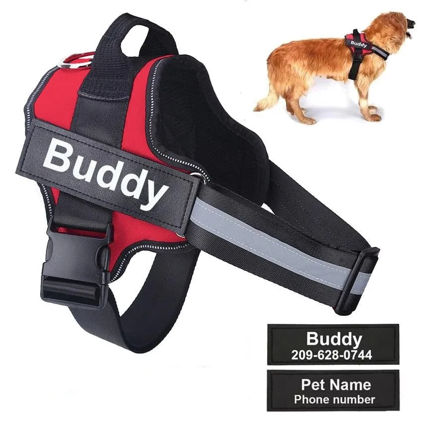 Personalized No Pull Dog Harness