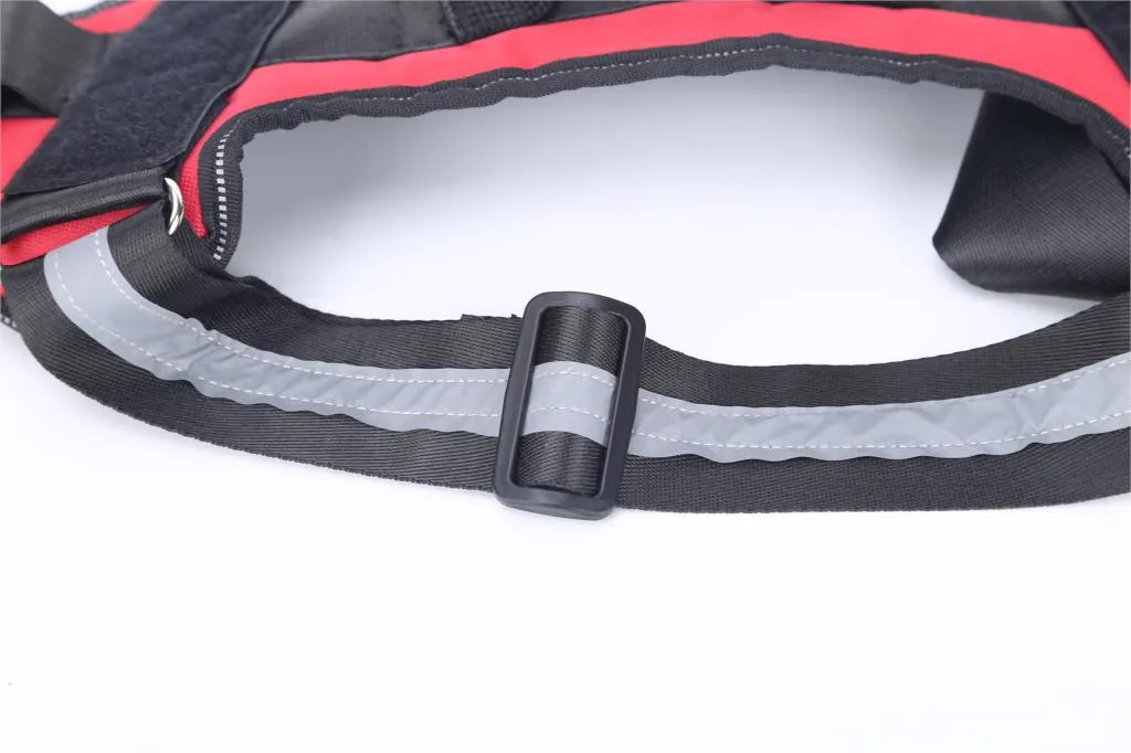 Personalized No Pull Dog Harness