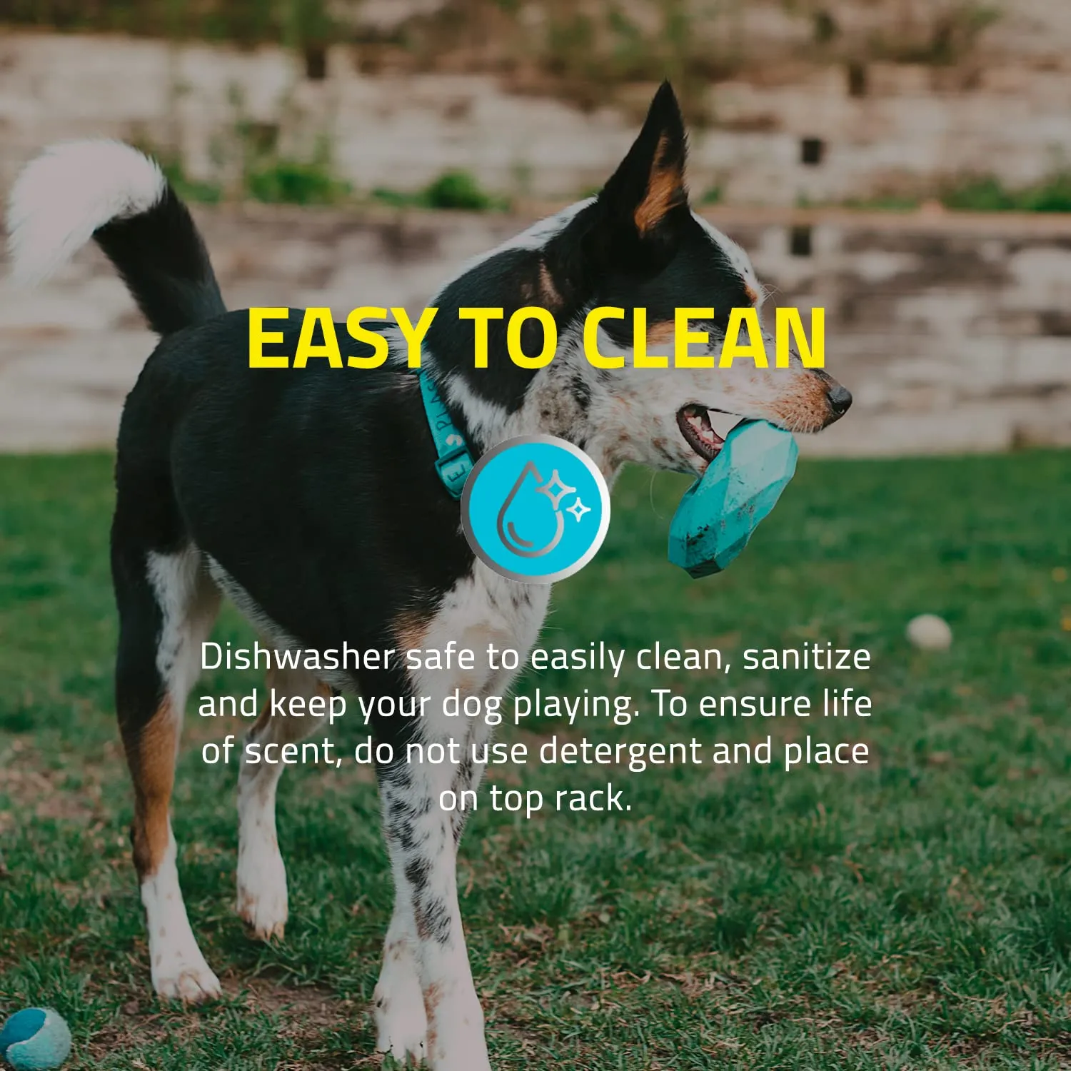 Playology Chicken Scented Channel Chew Ring Rubber Dog Toy with Encapsiscent Technology - Large