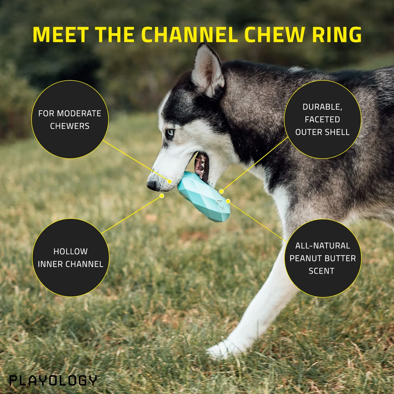 Playology Chicken Scented Channel Chew Ring Rubber Dog Toy with Encapsiscent Technology - Large