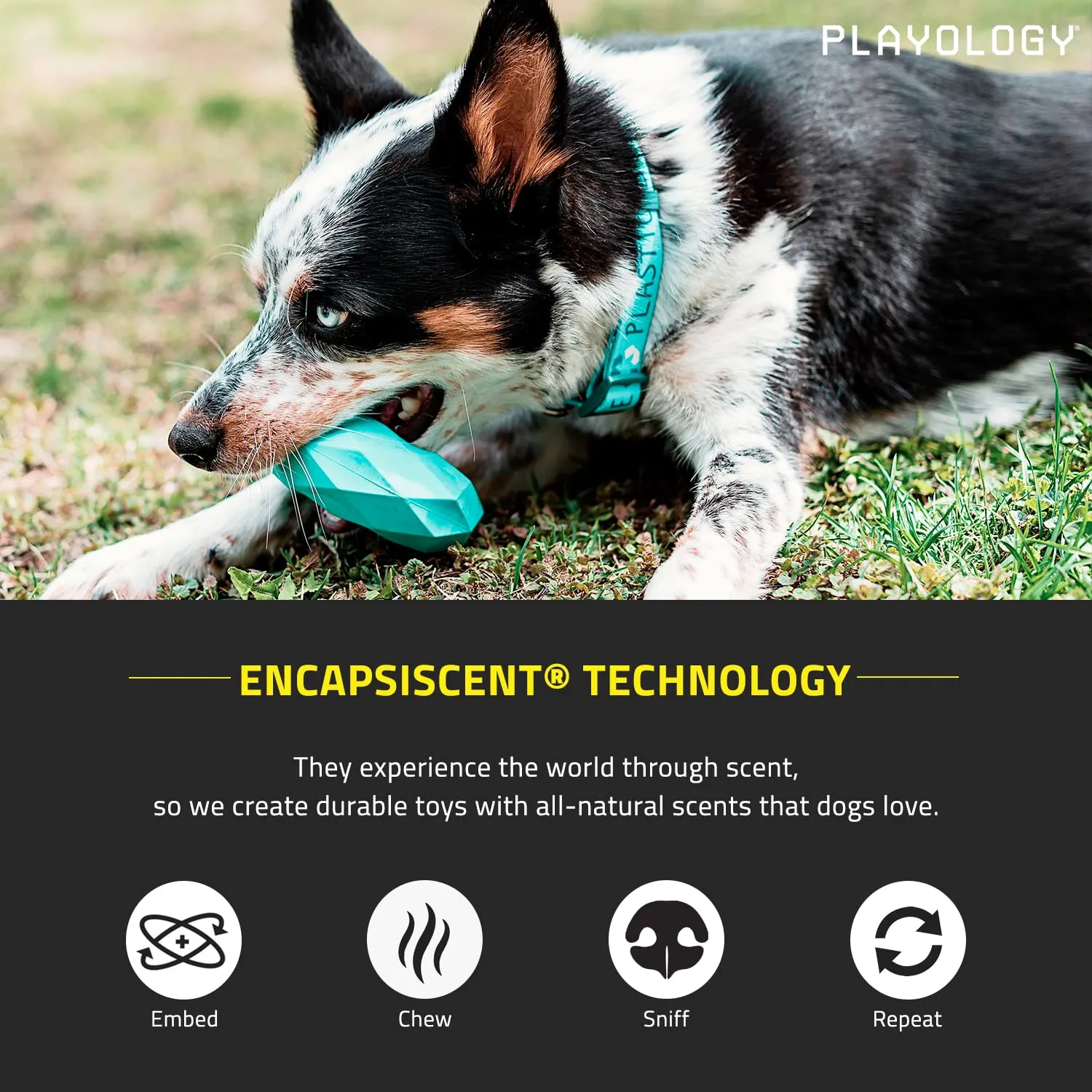 Playology Chicken Scented Channel Chew Ring Rubber Dog Toy with Encapsiscent Technology - Large