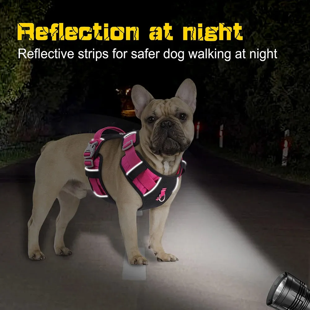PupBright No Pull Frenchie Reflective Harness