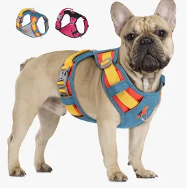 PupBright No Pull Frenchie Reflective Harness