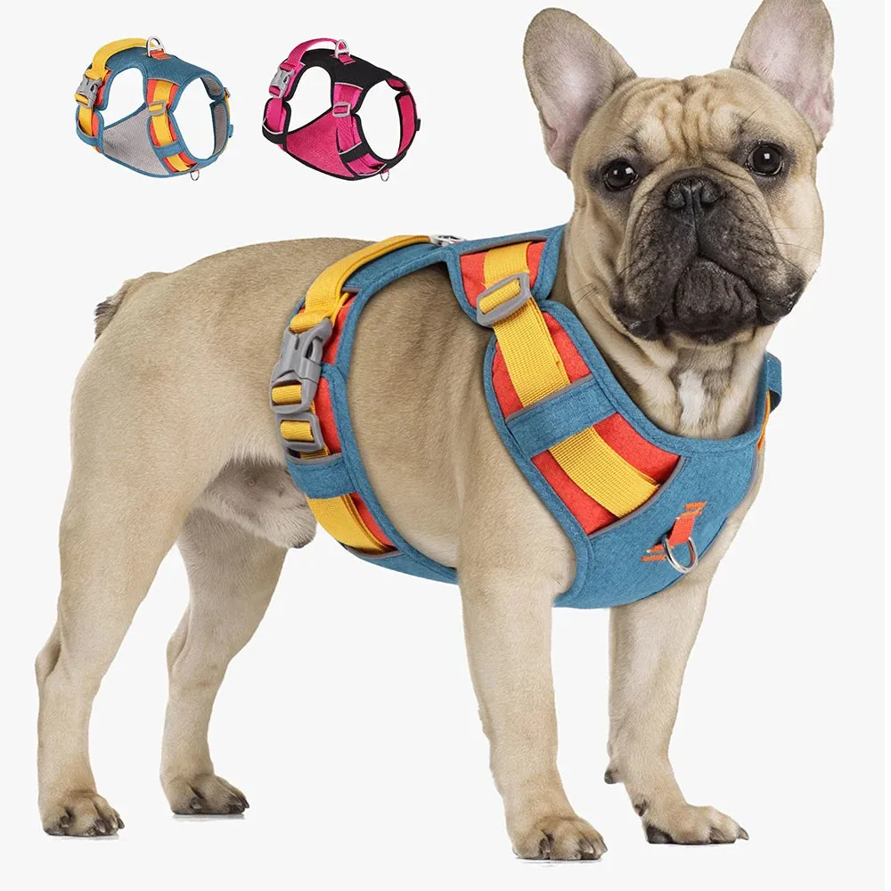 PupBright No Pull Frenchie Reflective Harness