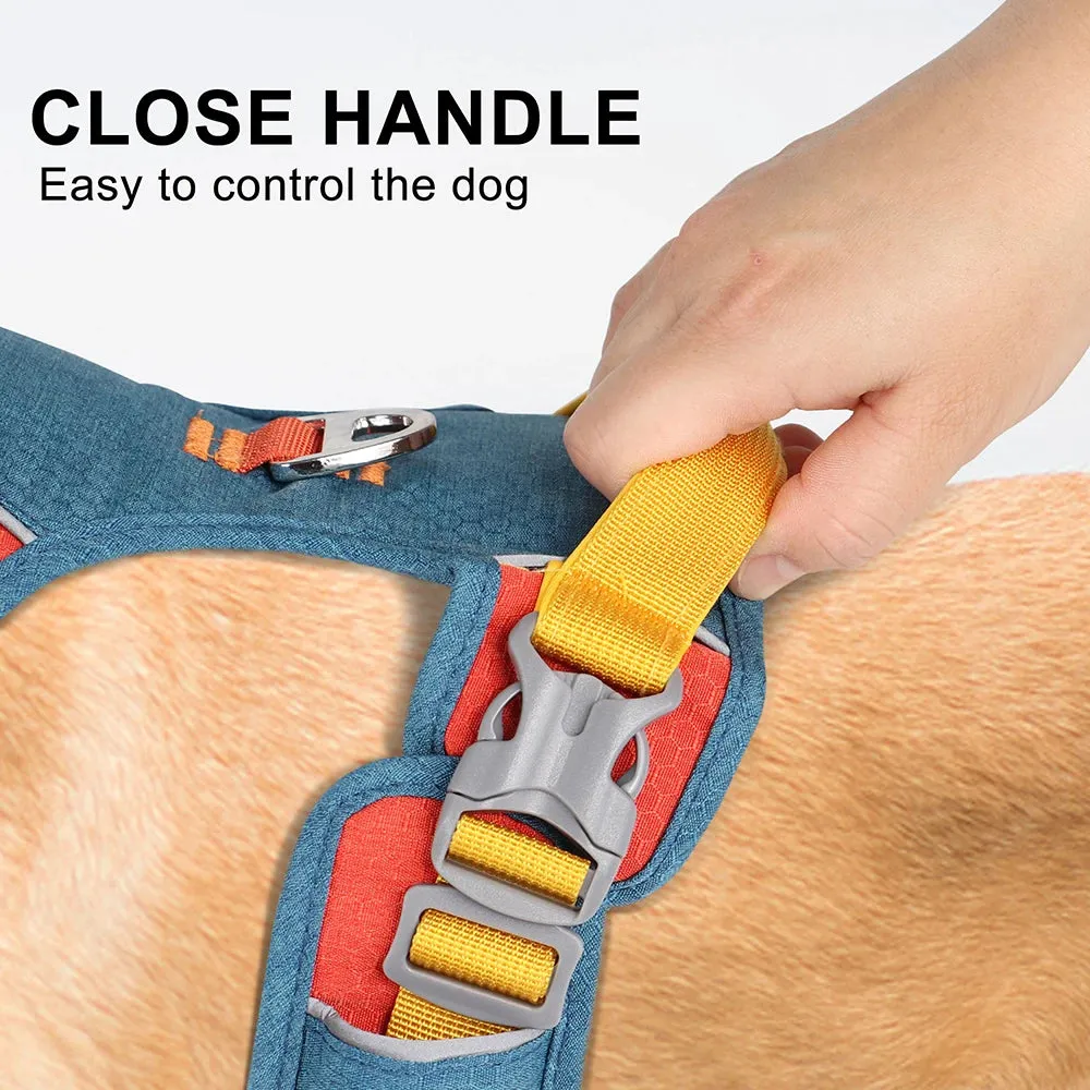 PupBright No Pull Frenchie Reflective Harness