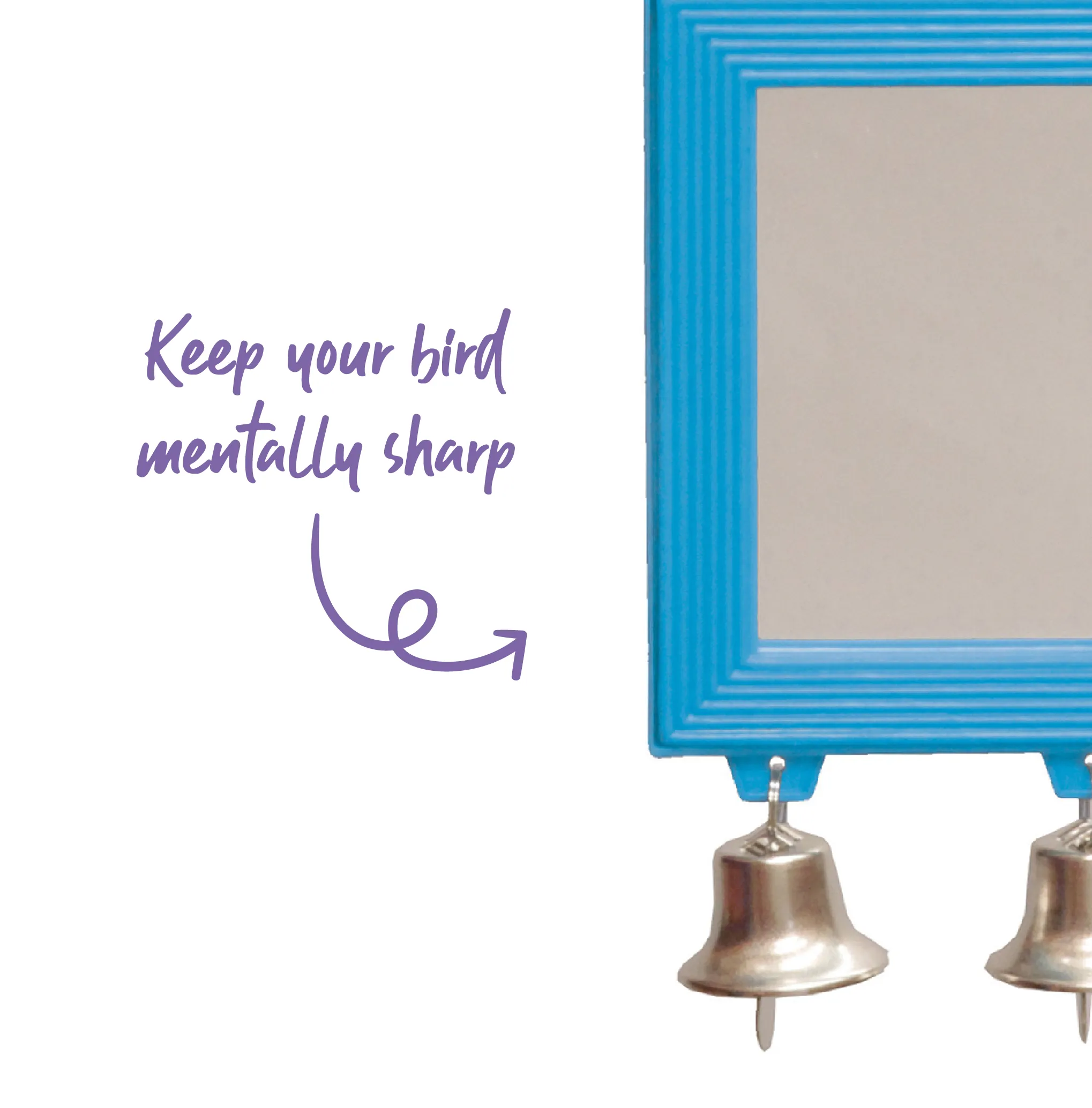 Rectangular Mirror with Bell