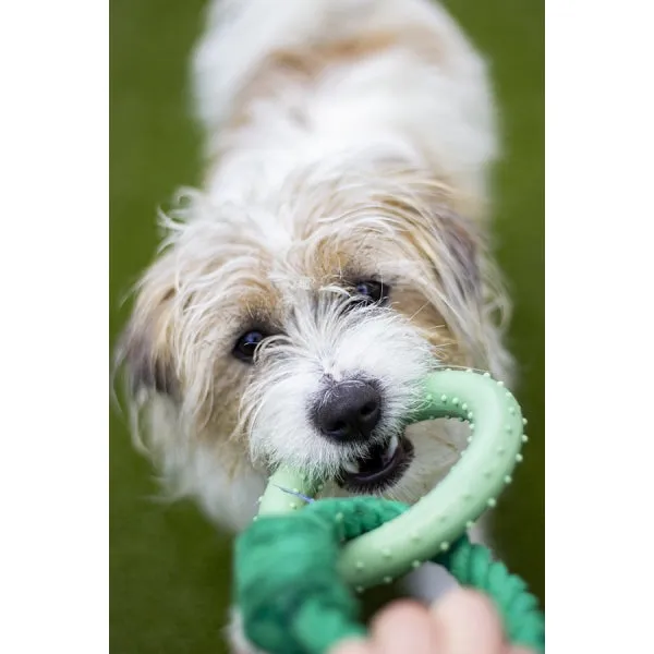 Rosewood Dog Toy Battersea Rope and Rubber Ring