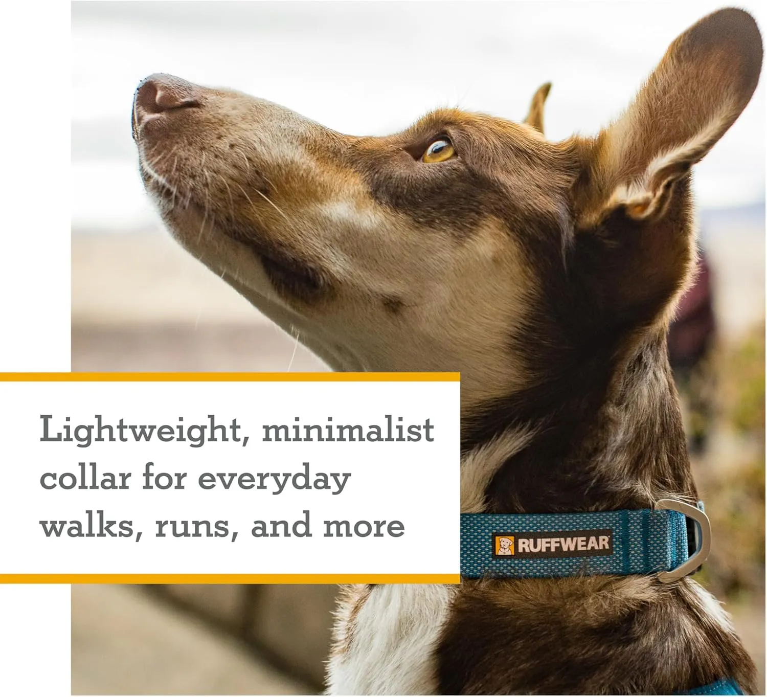 Ruffwear, Hi & Light Dog Collar, Ultralight Reflective Quick Release Buckle, Adjustable Trail Running Polyester Collar with Silent Tag Ring, Basalt Gray, 20"-26"