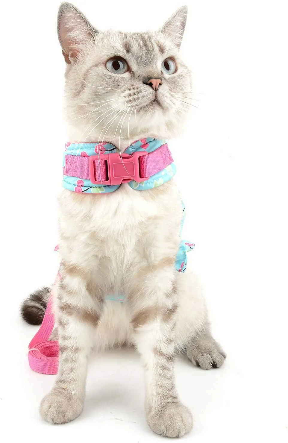 SELMAI Cat Harness and Leash for Walking Escape Proof Cherry Vest Harness for Small Dogs Boys Girls Kitten Puppies Easy on Jacket Soft Padded Cat Vest for Walking Outdoor Spring Autumn M