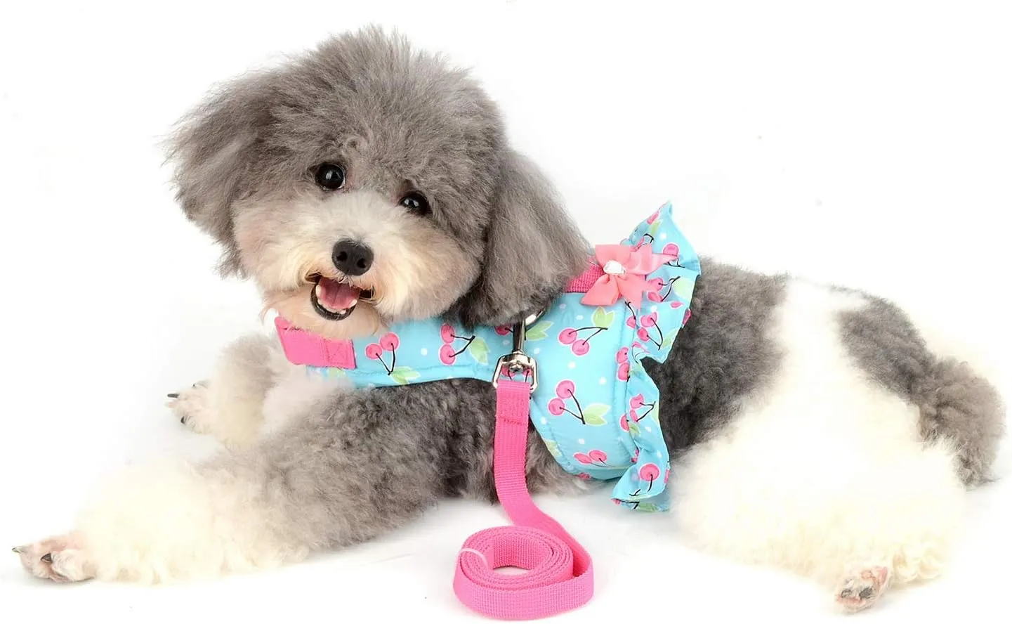 SELMAI Cat Harness and Leash for Walking Escape Proof Cherry Vest Harness for Small Dogs Boys Girls Kitten Puppies Easy on Jacket Soft Padded Cat Vest for Walking Outdoor Spring Autumn M