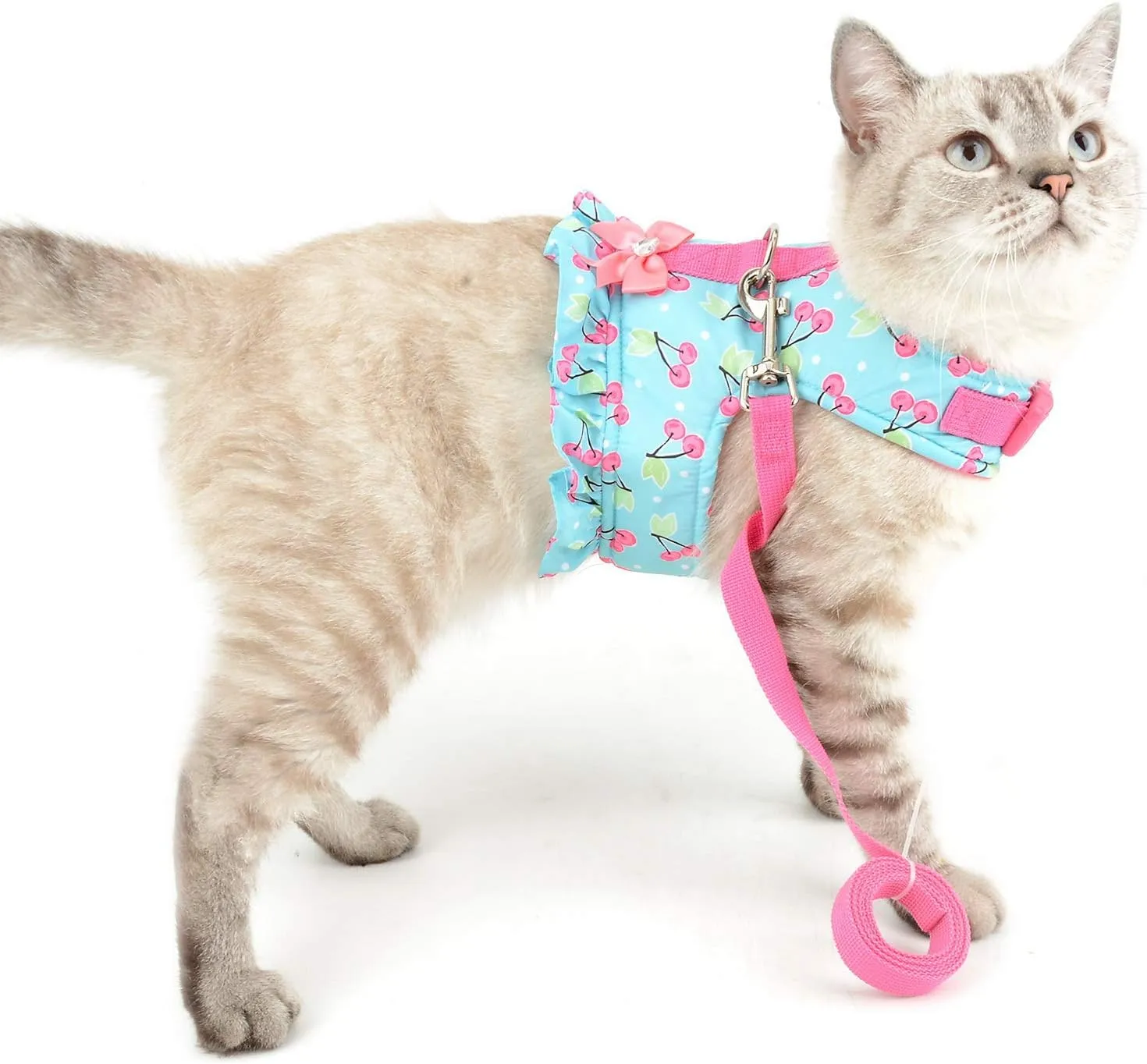 SELMAI Cat Harness and Leash for Walking Escape Proof Cherry Vest Harness for Small Dogs Boys Girls Kitten Puppies Easy on Jacket Soft Padded Cat Vest for Walking Outdoor Spring Autumn M