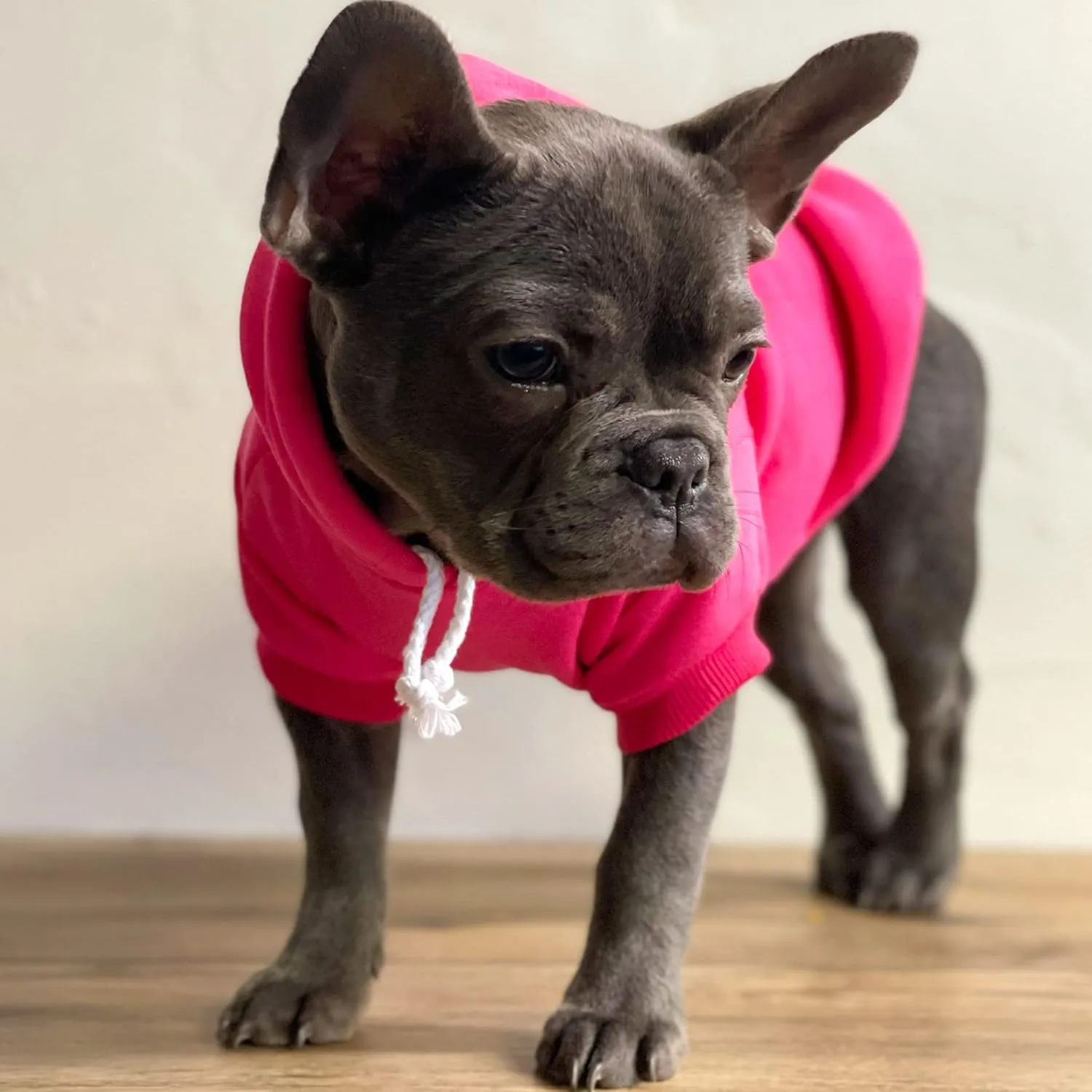 Sloppy Kisser Valentine's Day Dog Hoodie Fleece Lined Pullover Sweatshirt with Leash Hole (Baby Pink, 2X-Large 1174)