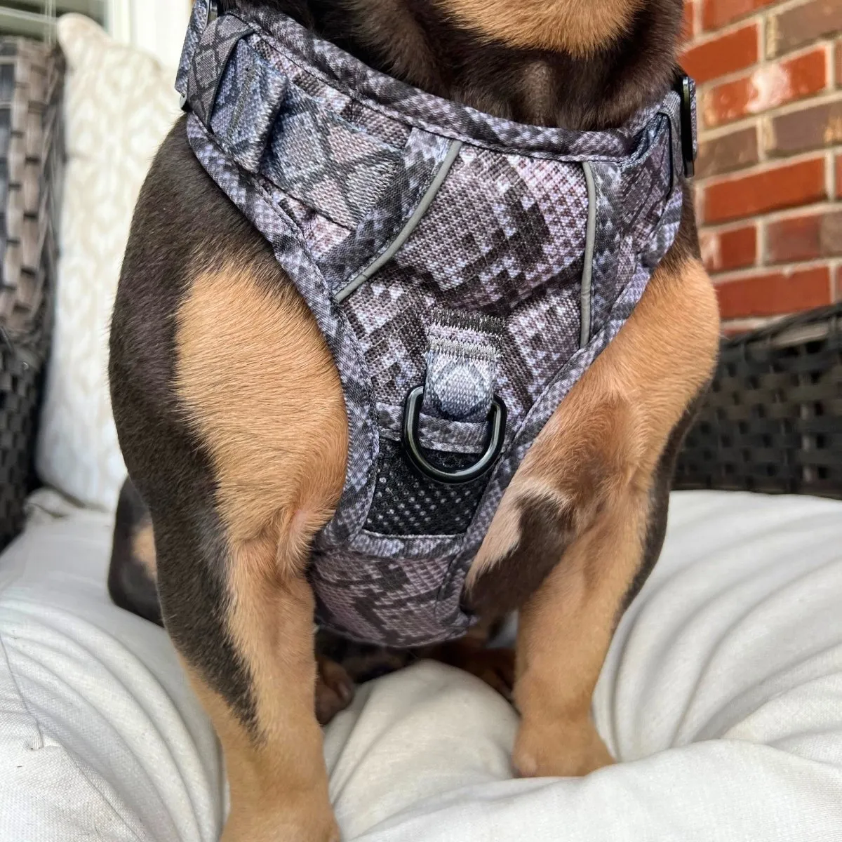 Snakeskin No Pull Dog Harness