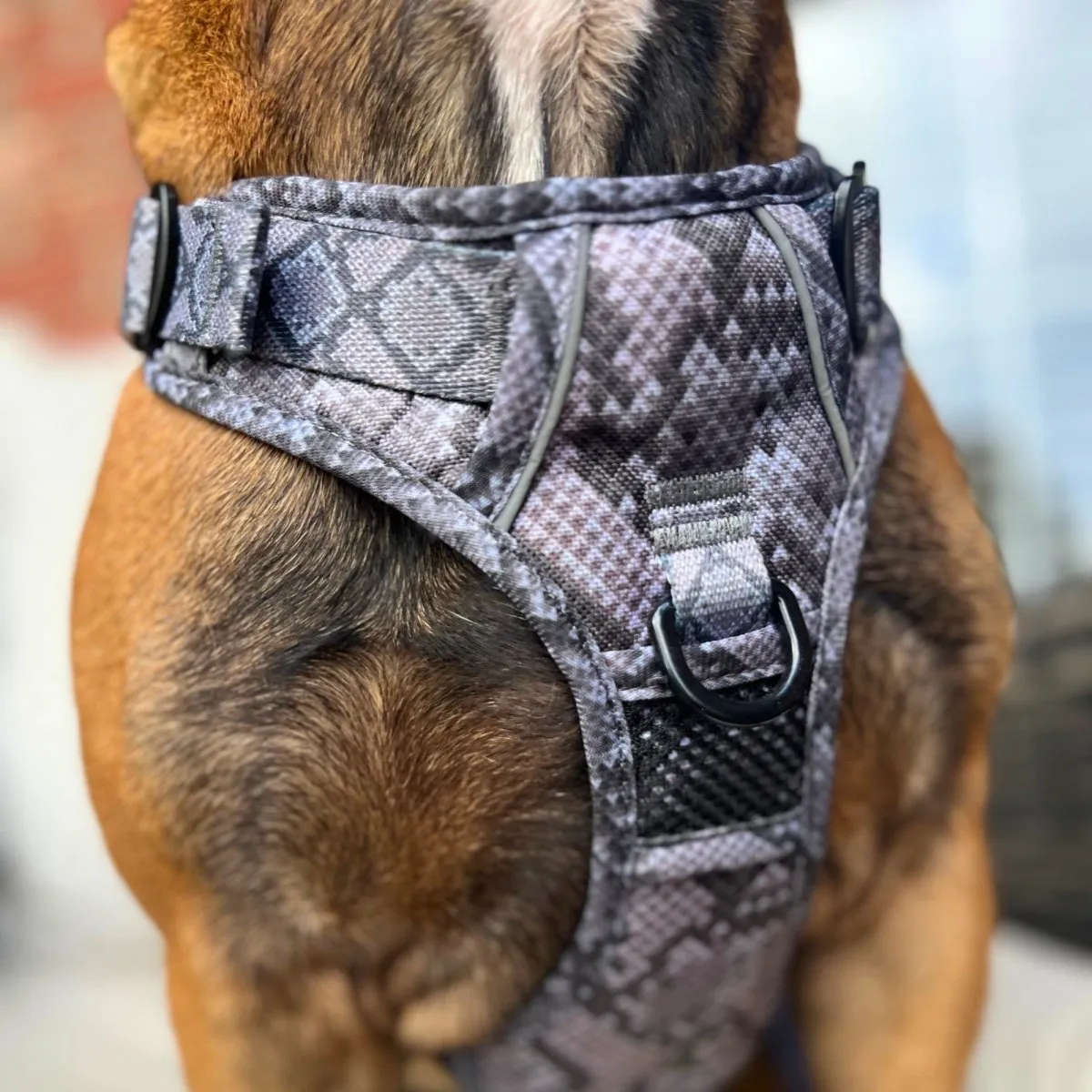 Snakeskin No Pull Dog Harness