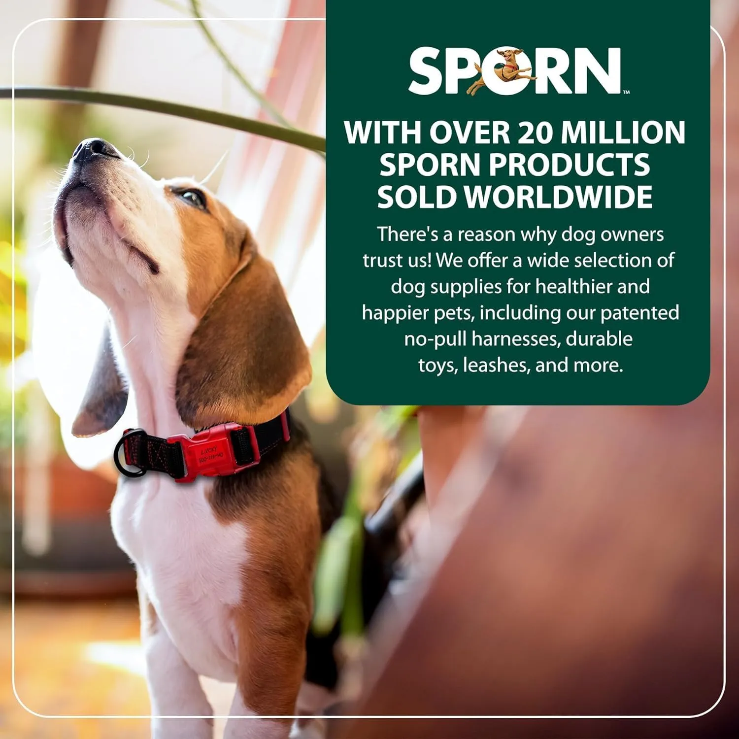 Sporn Dog ID Collar for Large Dogs, Black & Red Small Dog Collar Made of Nylon with Contrasting Colored Stitiching, Dog Collars for Large Dogs Includes 3 Pcs Prefolded Waterproof Paper