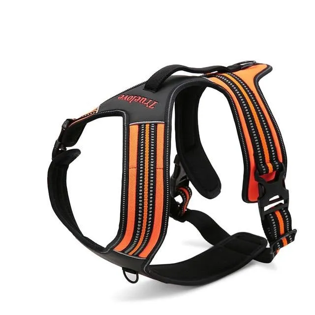 Sport Harness (No-Pull)