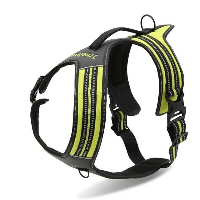 Sport Harness (No-Pull)