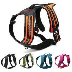 Sport Harness (No-Pull)