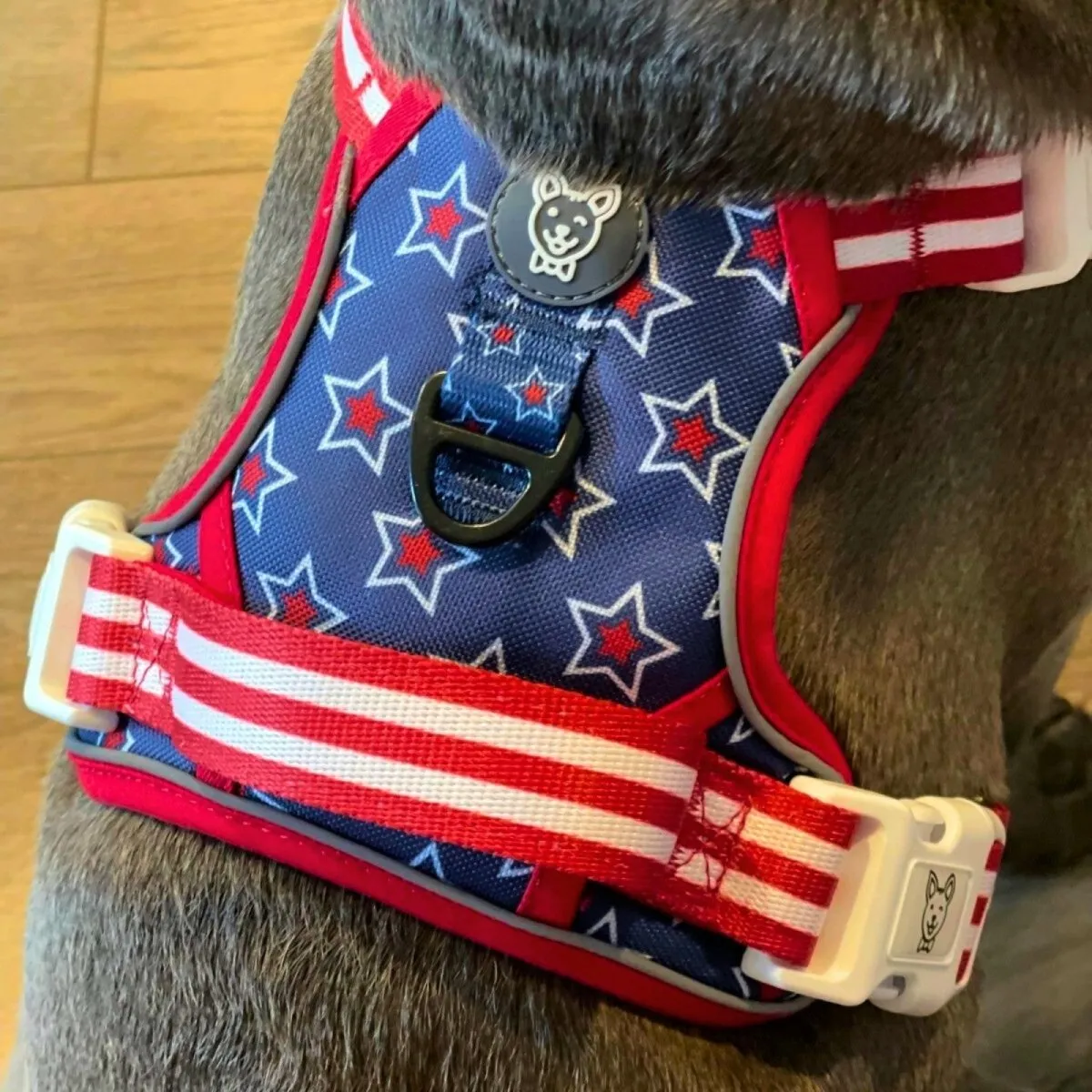 Stars & Stripes No Pull Dog Harness