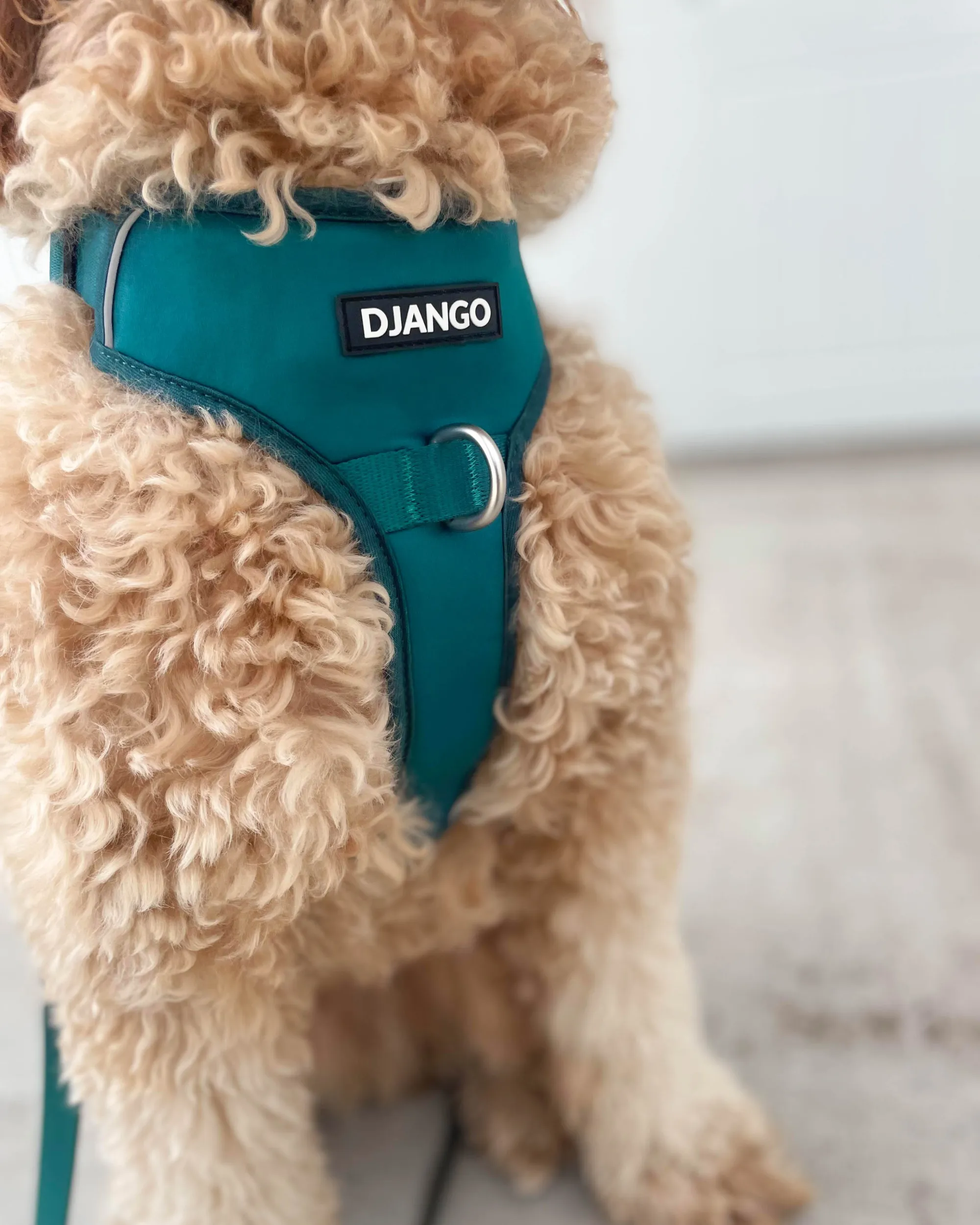 Tahoe No Pull Dog Harness - Dark Teal Green