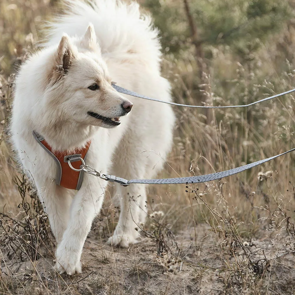 Venture No-Pull Harness