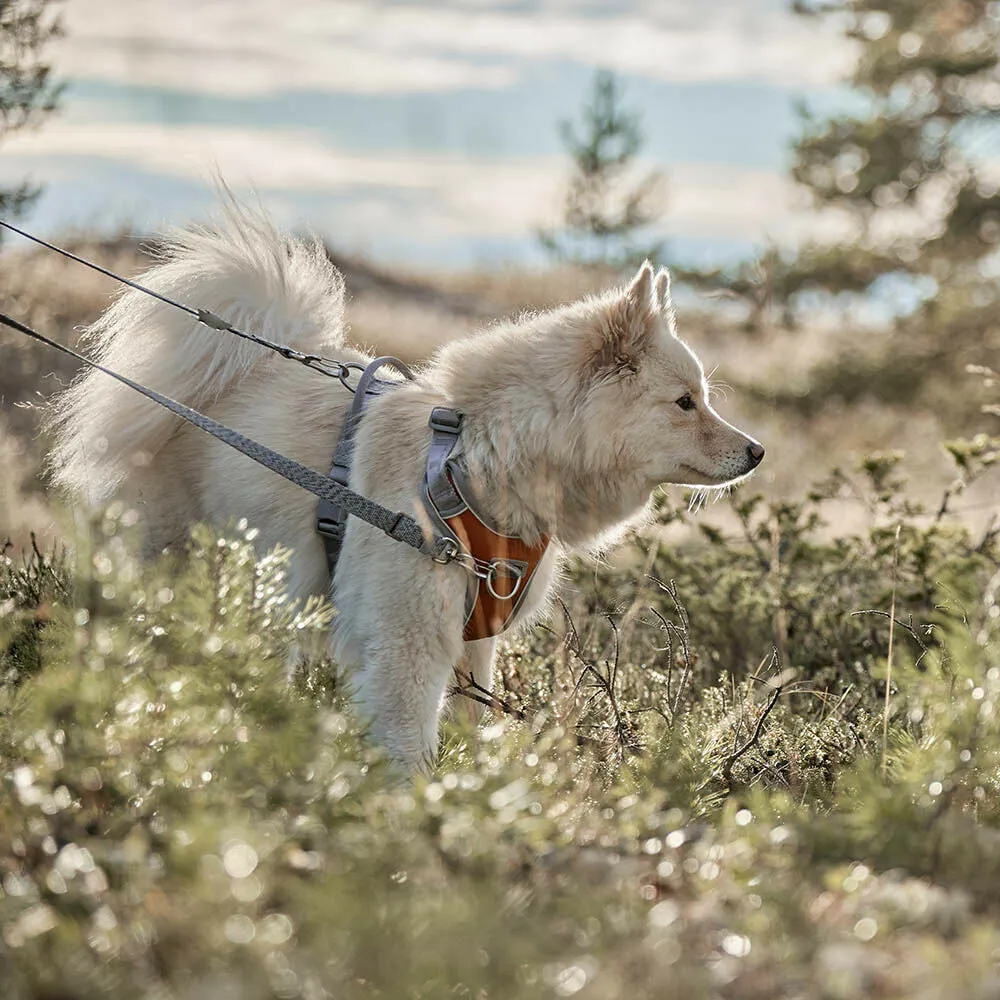 Venture No-Pull Harness