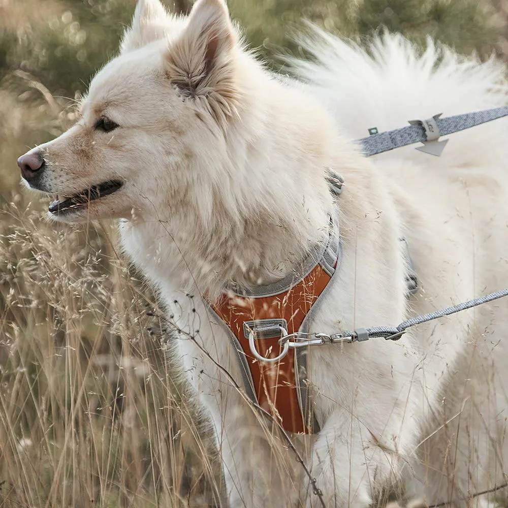 Venture No-Pull Harness